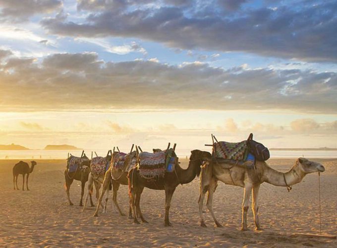 Morocco tours & excursions